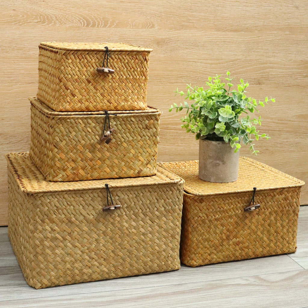 Lot de 4 Paniers de Rangement avec Couvercle Organiz Home