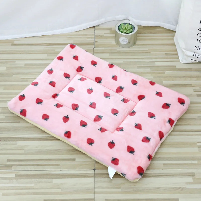 Coussin pour chat et chien