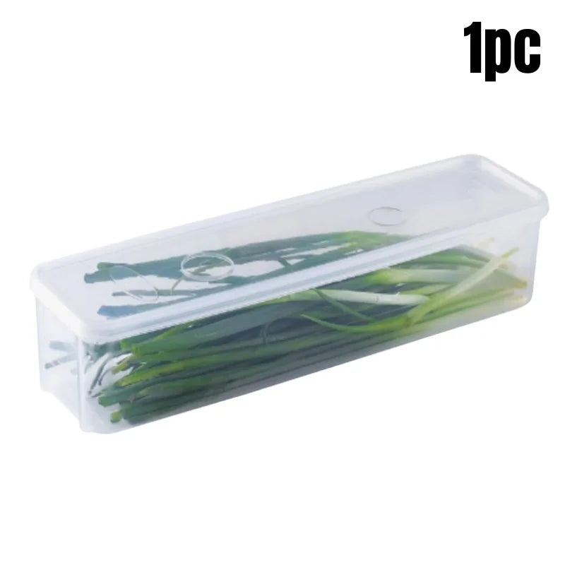 Boîte de Conservation pour Herbes Fraîches Organiz Home