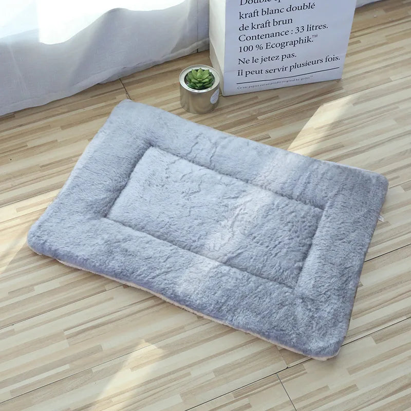 Coussin pour chat et chien