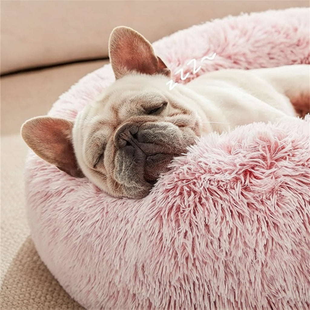 Lit Cocooning pour Chien et Chat