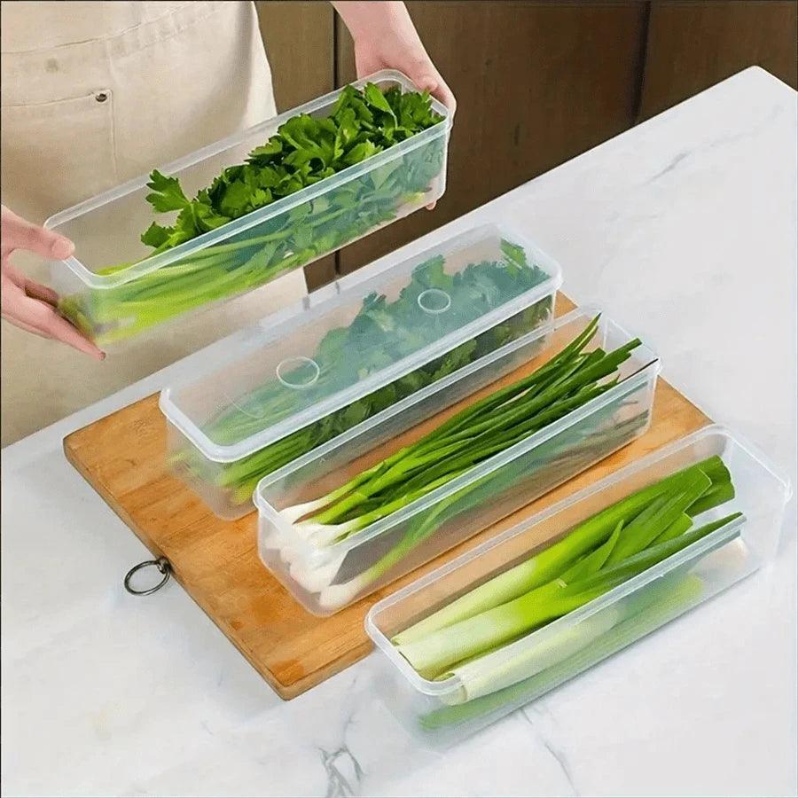 Boîte de Conservation pour Herbes Fraîches Organiz Home