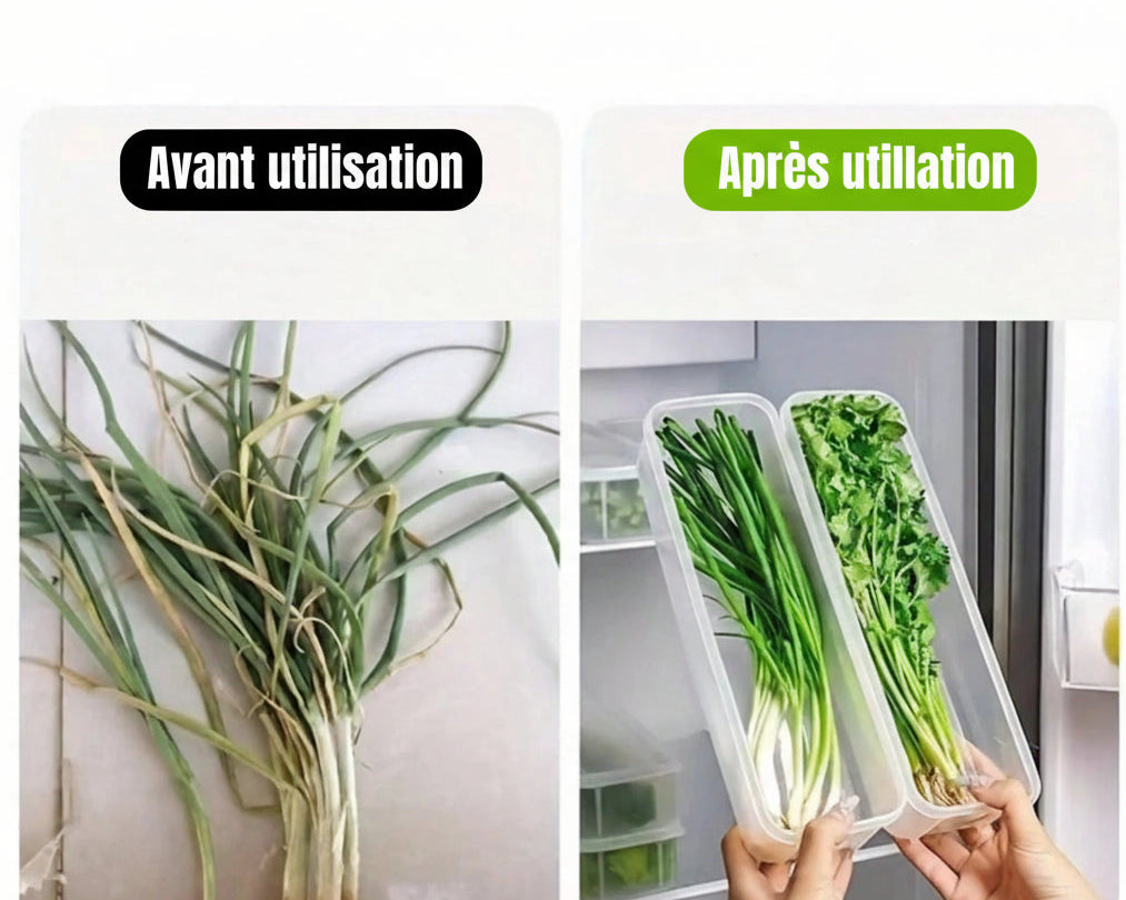 Boîte de Conservation pour Herbes Fraîches Organiz Home