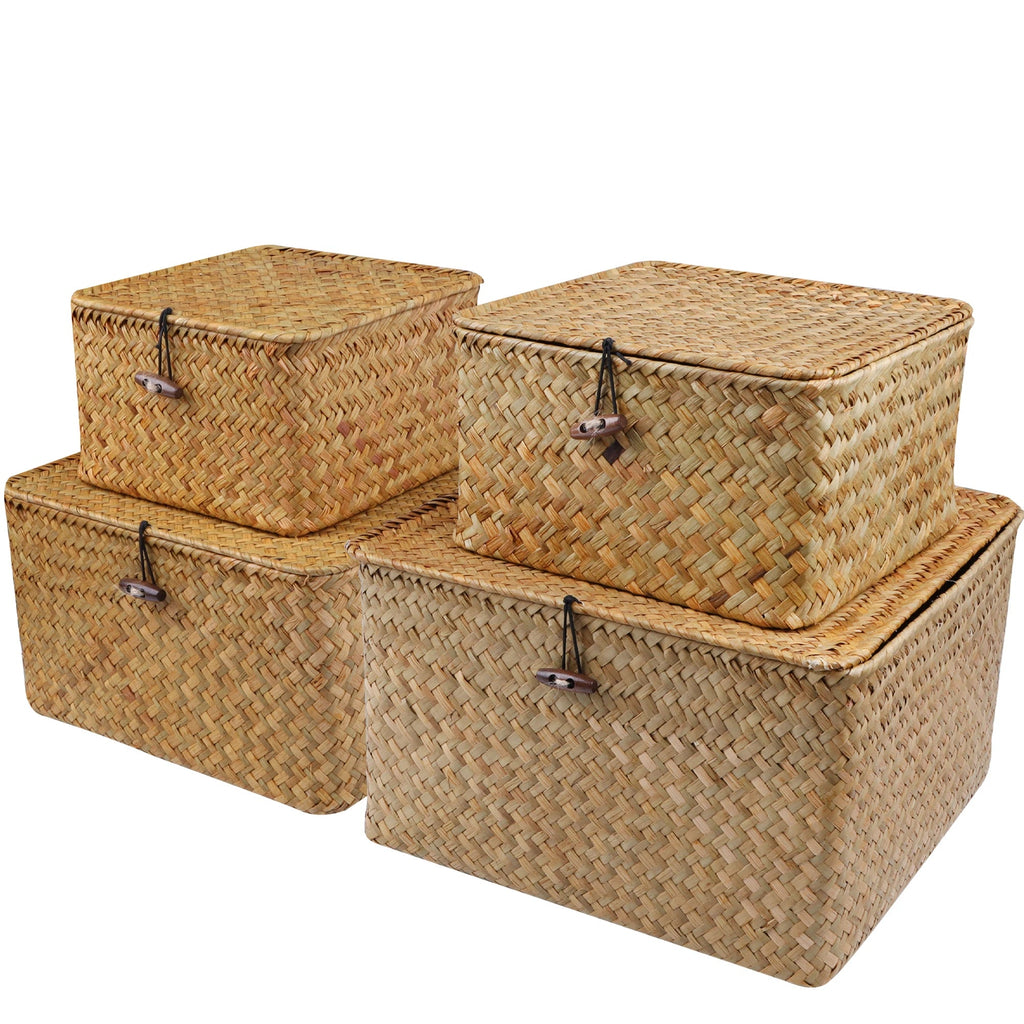 Lot de 4 Paniers de Rangement avec Couvercle Organiz Home