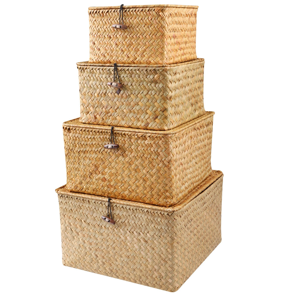 Lot de 4 Paniers de Rangement avec Couvercle Organiz Home