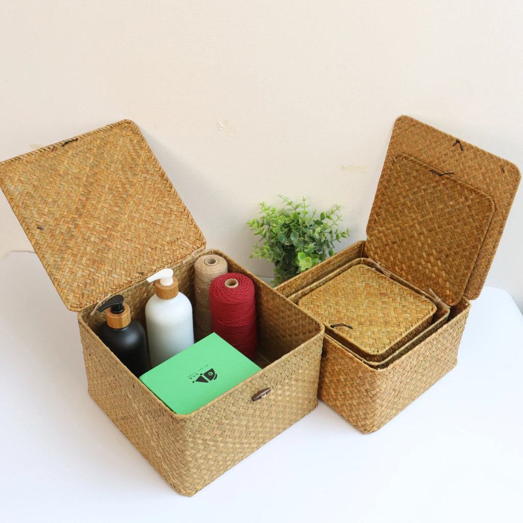 Lot de 4 Paniers de Rangement avec Couvercle Organiz Home